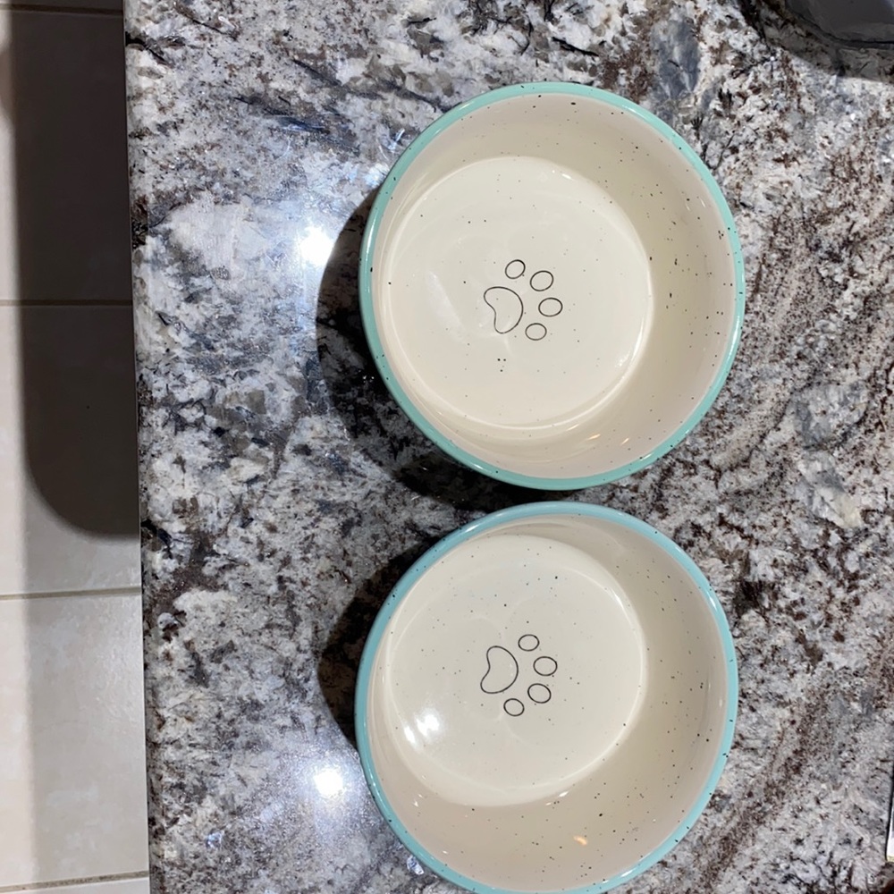 2 dog bowls
